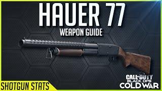 Ultimate Weapon Guides of Cold War: Hauer 77 (In Depth Stats, Best Classes)