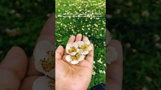 Nature| Love in the air| lovely nature
