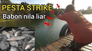 MANCING NILA BABON LIAR || DI KERAMBA BUKIT BATAS RIAM KANAN