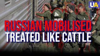 Russian Mobilised Soldiers Are Treated like Lifestock: How Long Will They Tolerate It?