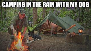 Heavy Rain all night - Woodland Adventure With My Dog in The F1 French Military Tent