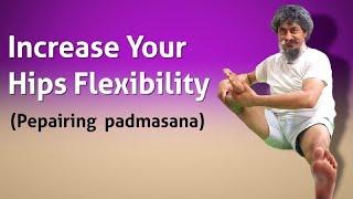 Increase Your Hips Flexibility ! YOGACHARYA DHAKARAM