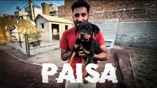 ROTTWEILER Agaya  | PAISA  | shehr mein dehat | video editing |