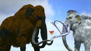 Ark Survival - PRIMAL MAMMOTH vs MAMMOTH/SPINO/TREX and more [Ep.492]