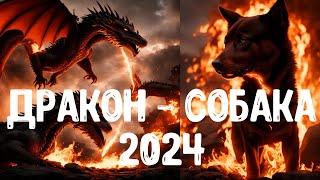 Столкновение Дракон - Собака 2024