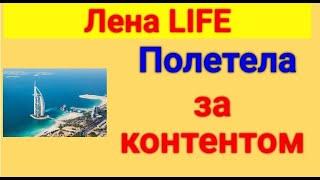 Лена LIFE. Обзор влогов.  15 12  2024 Лена