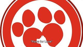 Paws for love #pets #animal #dogs