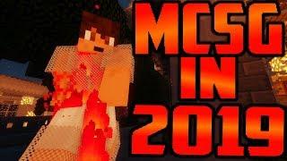 MCSG In 2019