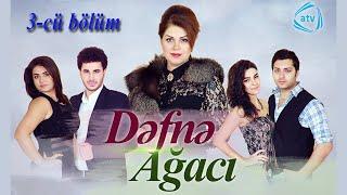 Dəfnə ağacı (3-cü bölüm)