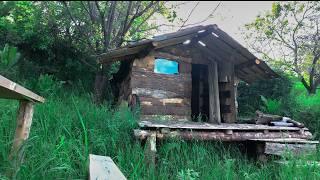 Warm shelter building, Improving the stone furnace, survival hut