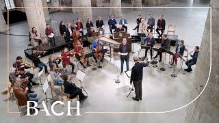 Bach - Cantata Schauet doch und sehet... BWV 46 - Rademann | Netherlands Bach Society