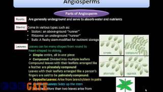 ProGATE GATE Life Sciences Sample Video 1