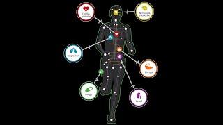 Human Physiology Lab Lecture 1 - Homeostasis