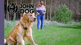 Stres w interakcji z drugim psem – WARSZTATY PSICH EMOCJI – John Dog