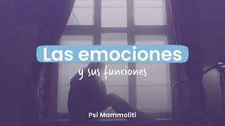 Las EMOCIONES y sus funciones: ¿Por qué es tan importante conocerlas? | Psi Mammoliti