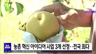 농촌혁신 아이디어 사업 3개 선정..전국 최다[목포MBC 뉴스투데이]