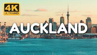 Auckland New Zealand 2024 - Full Travel Guide