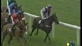 2001 Martell Weatherbys Champion Standard National Hunt Flat Race