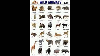 Wild Animals Name #education #mk #shorts #wild @learnwithmk5825