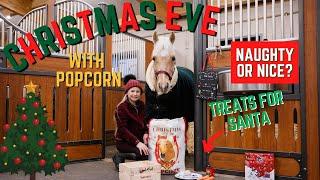 CHRISTMAS EVE WITH POPCORN THE PONY * HORSEY CHRISTMAS * VLOGMAS *