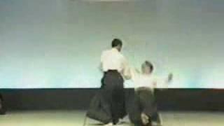 Ki Aikido - Taigi 03