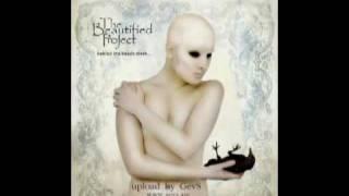 The beautified project   Stupid love song A  Saakyan HQ Sound