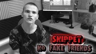 Zaporoshskiy - NO FAKE FRIENDS(SNIPPET)