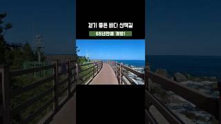 한 번은 걸어야 할 길, 속초 외옹치항 바다향기로 | 65년만에 개방된 걷기좋은 바다 산책길 #당일치기 #속초여행 #국내여행 #외옹치바다향기로