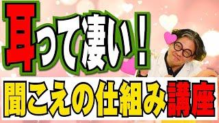 【簡単解説】耳の仕組みをもじゃもじゃがわかりやすく解説【耳フェチ】