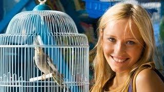 What Are the Best Apartment Birds? | Pet Bird