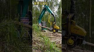 XUVOL 600 Tree Harvester Head