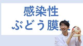 感染性ぶどう膜炎とはどういうものなのか？