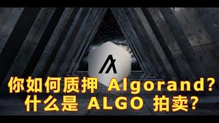 什么是 ALGO 拍卖？