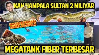 IKAN HAMPALA SULTAN 2 MILIYAR! MEGATANK FIBER TERBESAR DI INDONESIA! ADA SAPU-SAPU HARGANYA 20JUTA!