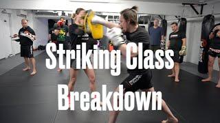 What is a Striking Class like at Surge MMA? Special Guest - @MMAShredded