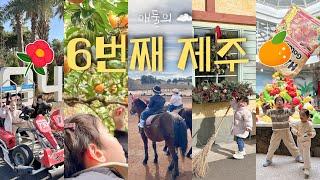 아이와 제주여행 전문 | 재방문 맛집 | 이색관광지,하리보월드 | 강추 카페 | 리조트 추천