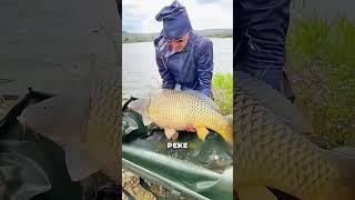 Вот почему жизнь в Деревне ЛЕГЧЕ чем в Городе ! 