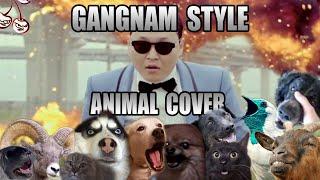 PSY - Gangnam Style (Animal Cover)