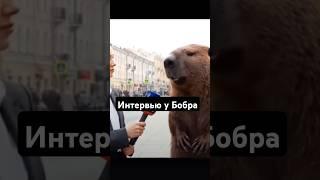 Интервью Бобра
