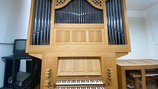 ADORABLE little baroque organ!