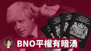 BNO平權爭議 30年資深入境處職員潑冷水 首相約翰遜只提畀香港人「難民」身份 - 張寶華 #評論 - 20200529