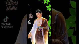 #buddha #正能量 #禅意生活 #人生感悟 #心灵感悟 #修行之路