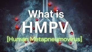 HMPV: Everything you need to know