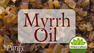 Myrrh Essential Oil, All You Ever Need To Know