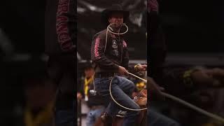 Shane Hanchey at The CFR ‌  Hanging Horses  ‌#rodeo #calfroping