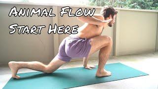 Animal Flow Workout - 15 Minute Bodyweight Workout (Follow Along)