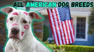 All American Dog Breeds A-Z With Pictures