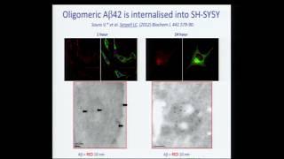 Self assembly and Alzheimer's disease | 2017