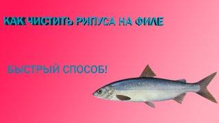 Как чистить рипуса на филе! | БЫСТРЫЙ СПОСОБ!