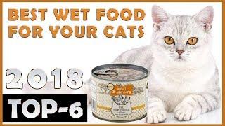 Best  Wet Cat Food  Review  TOP 6